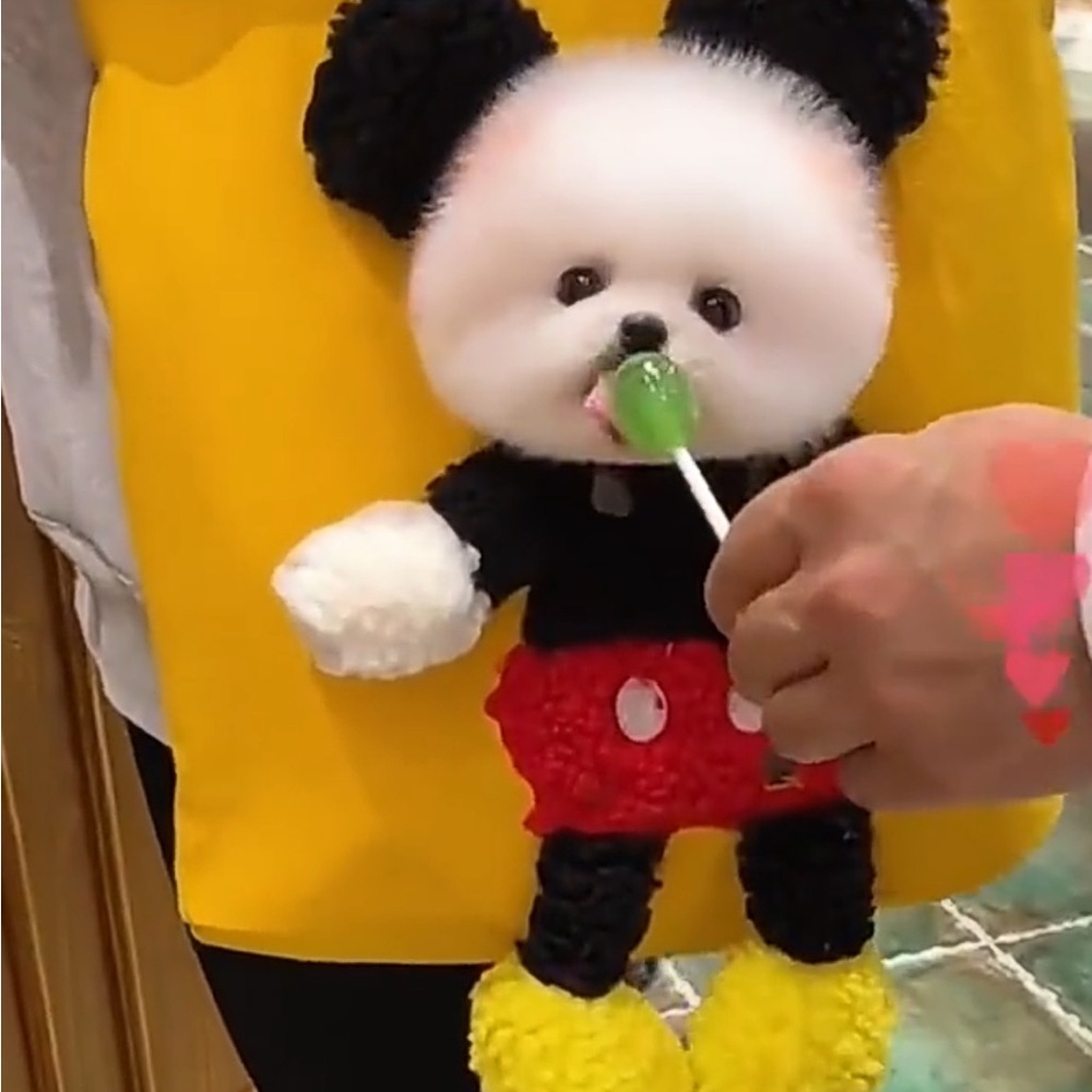 Meet your Posher, Queen!